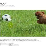 ワードプレス｜ヘッダー画像の変更方法