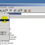 ワードプレス手動インストールで複数のWordPressを入れる！（ロリポップ）